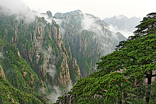 一喷就让人昏睡的水求购C1B8D97C5-18975